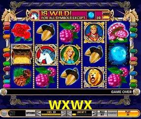 wxwx plataforma